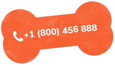 https://www.reddogbb.com/wp-content/uploads/2019/07/text_02.png